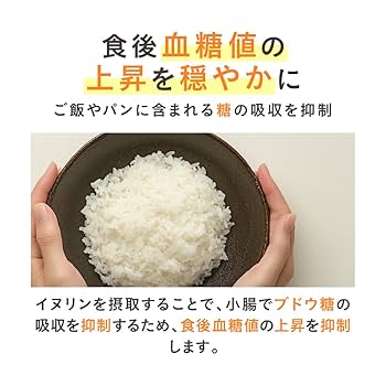 イヌリン坊や 様 Amazon | 《 イヌリン × グアーガム分解物 》 サンファイバーAI